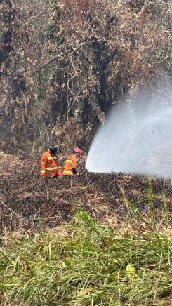 Tim BNPB memadamkan kebakaran lahan di Kalimantan